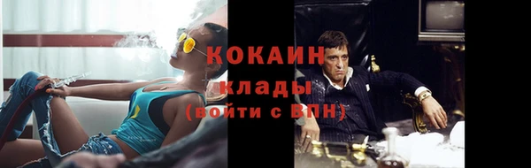 ГАЛЛЮЦИНОГЕННЫЕ ГРИБЫ Михайловск