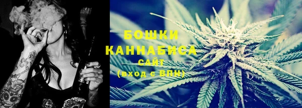 ГАЛЛЮЦИНОГЕННЫЕ ГРИБЫ Михайловск