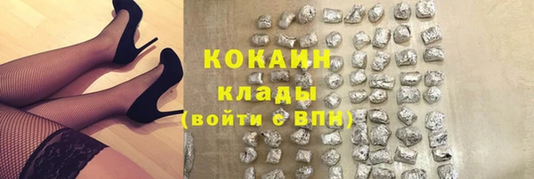 apvp Михайлов